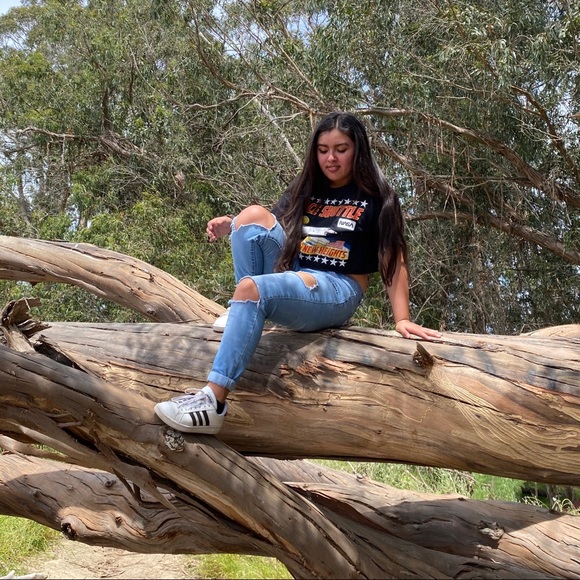 Meet your Posher, Priscilla - Picture 2 of 5